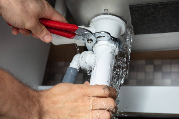 Best Water damage restoration insurance claims  in Guthrie Center, IA