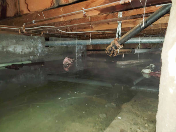 , IA Water damage restoration Company