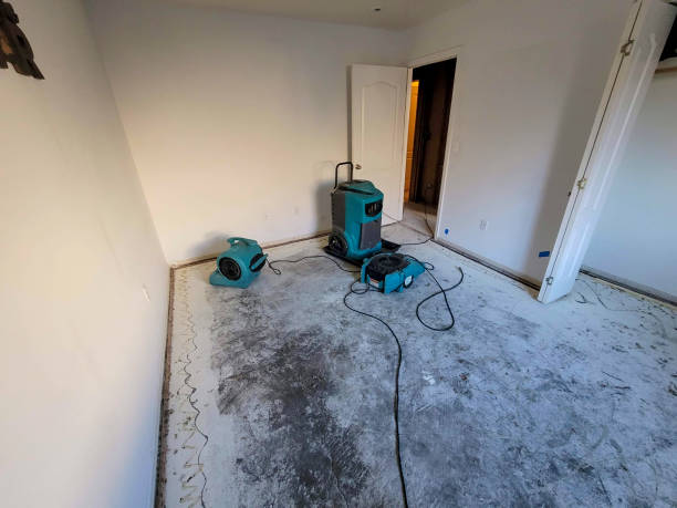 Best Commercial water damage restoration  in Guthrie Center, IA
