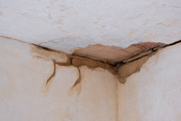 Best Local water damage restoration  in Guthrie Center, IA