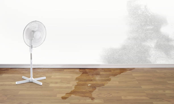 Best Water damage contractors near me  in Guthrie Center, IA