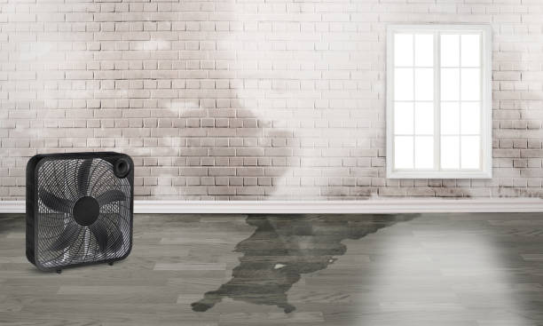 Best Residential water damage restoration  in Guthrie Center, IA